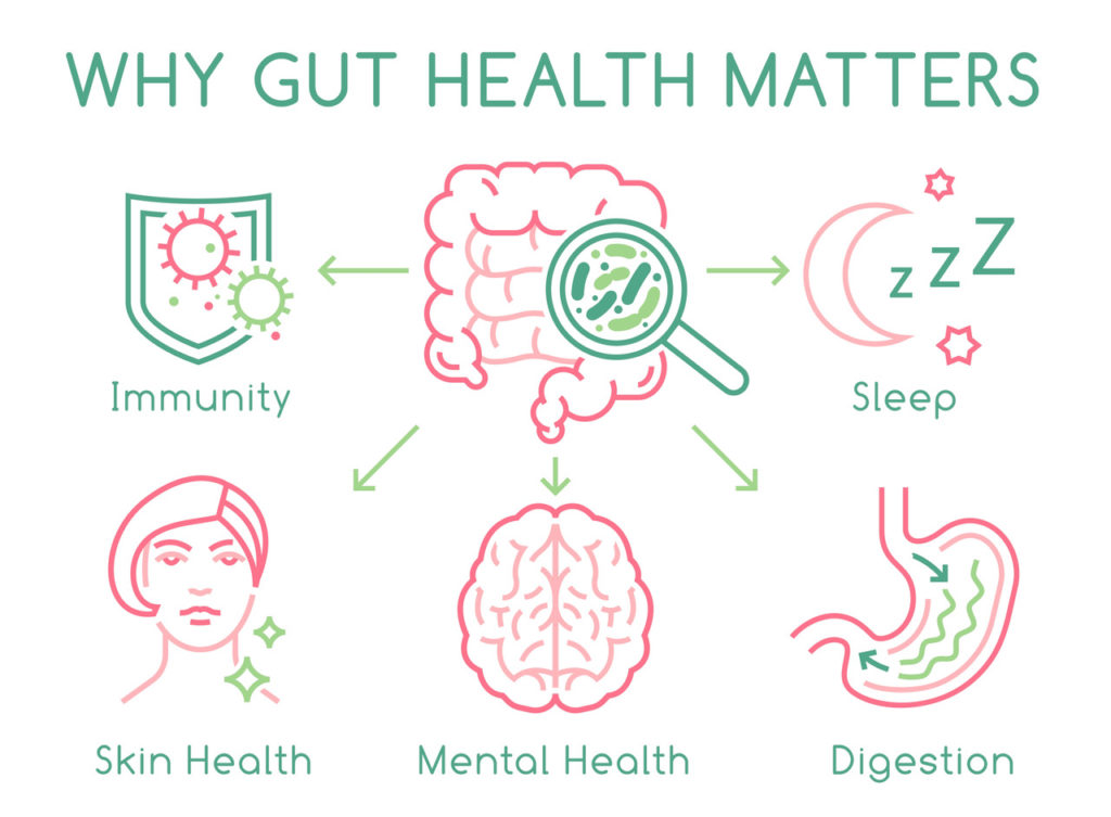 why gut health matters