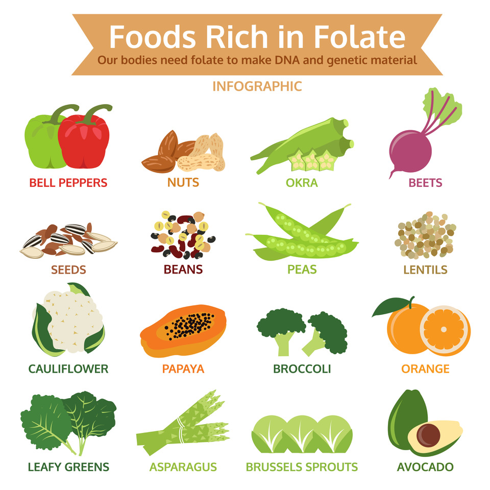 foods rich in folate