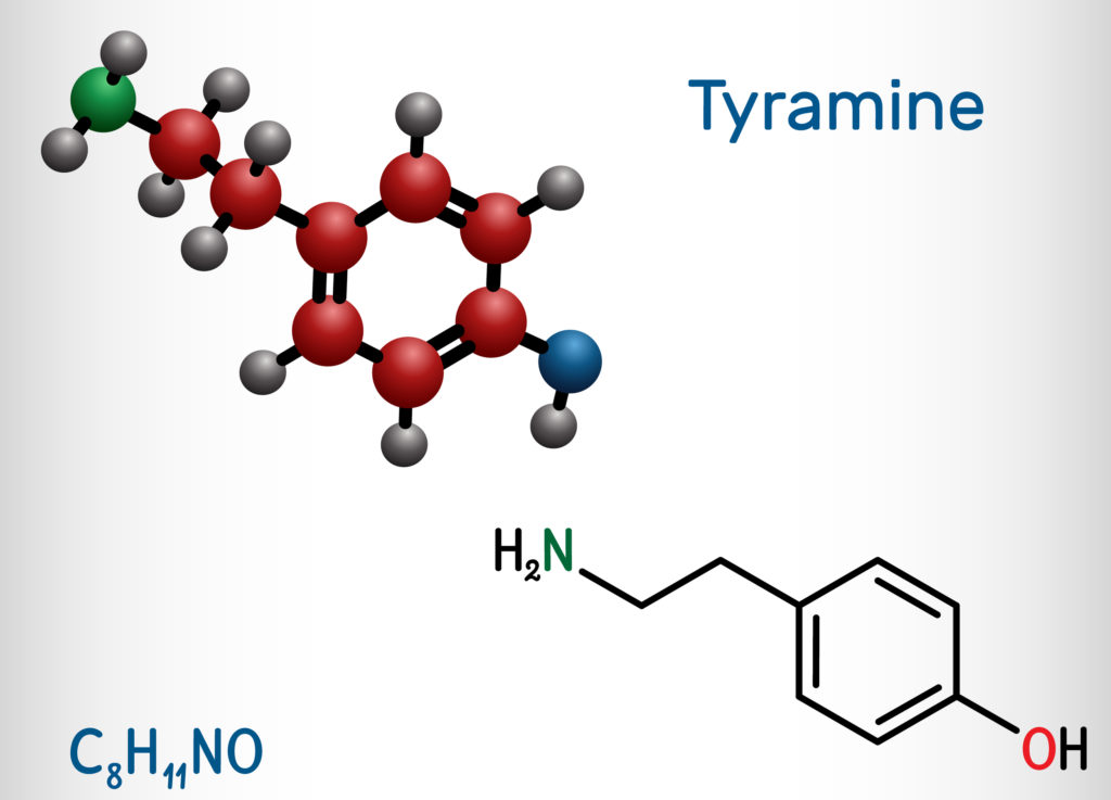 tyramine from cheese