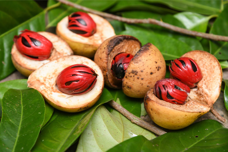 The Psychoactive Properties of Nutmeg Suzy Cohen, RPh offers natural