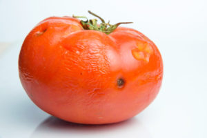 Food Poisoning and rotten tomato