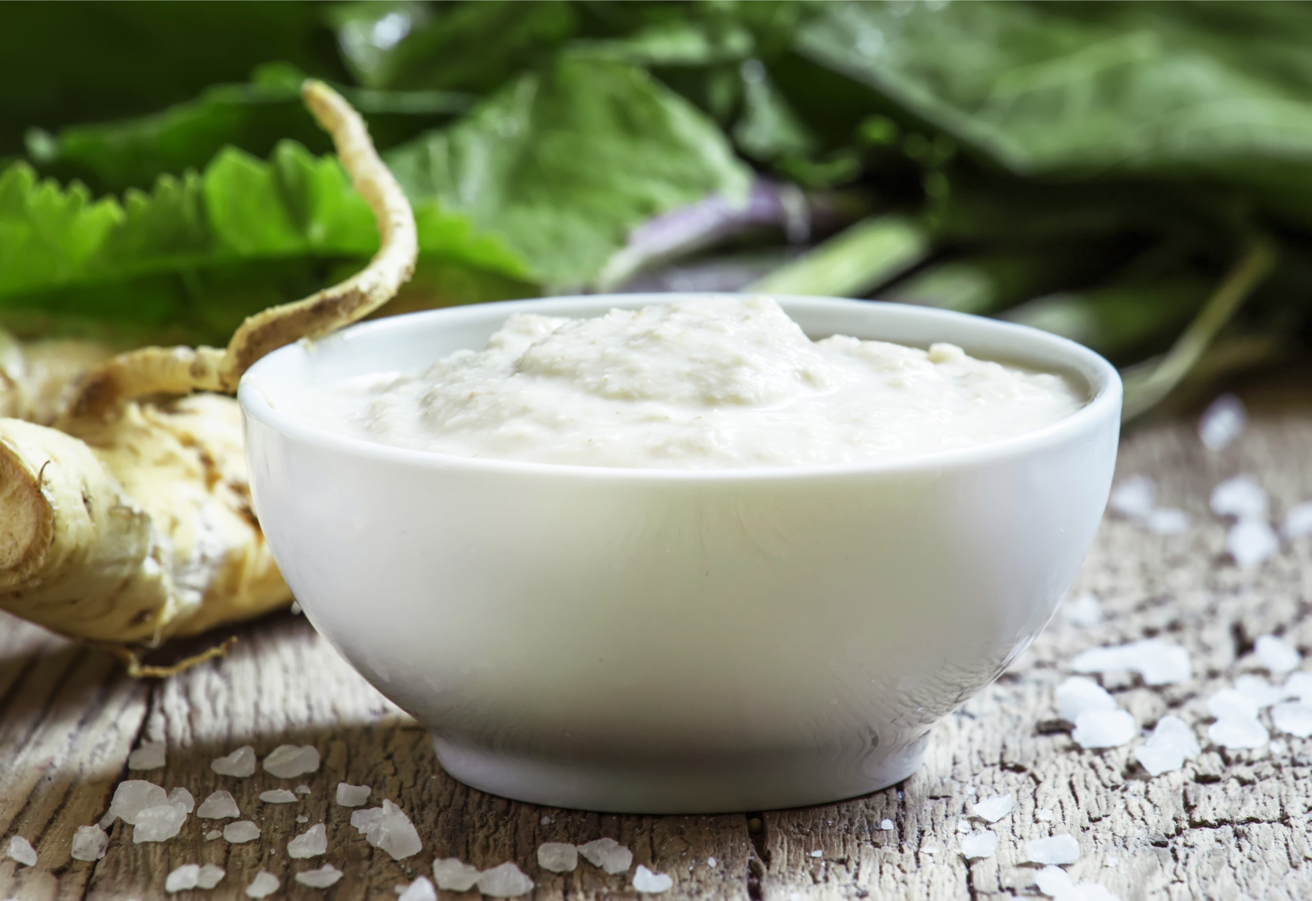 Read more about the article Creamy Horseradish Sauce