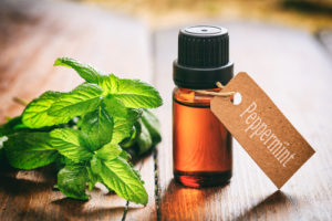 peppermint essential oil and home remedies