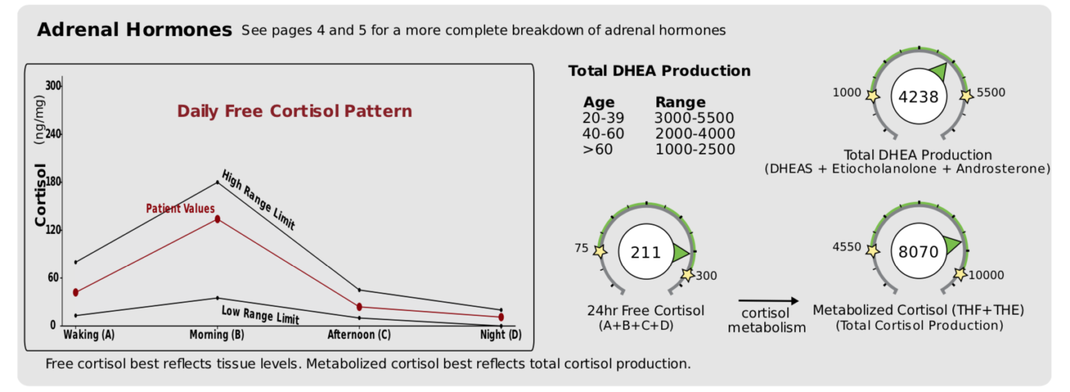 The DUTCH Complete Test 1 Guide to Hormone Testing Suzy Cohen, RPh