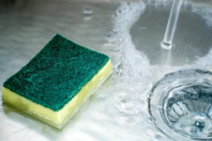 Kitchen sponge contains germs