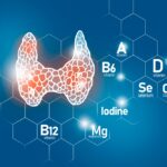 Top 11 Thyroid Supplements for Hypothyroidism – A Buyer’s Guide