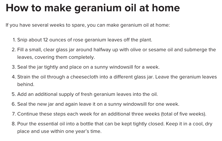 how to make geranium essential oil