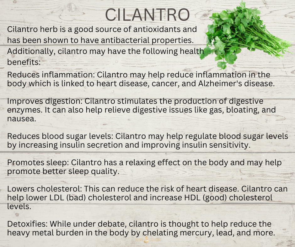 cilantro goes in salsa