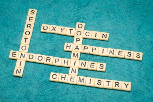 dopamine serotonin