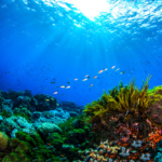 10 Wonders of Water: Healing Secrets from Marine Medicine