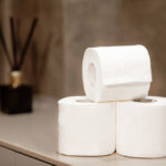 The Bottom Line: The Surprising Truth About Your Toilet Paper 