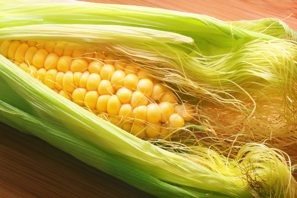 Read more about the article Corn Silk: 5 Key Benefits for Cystitis and Bladder Health