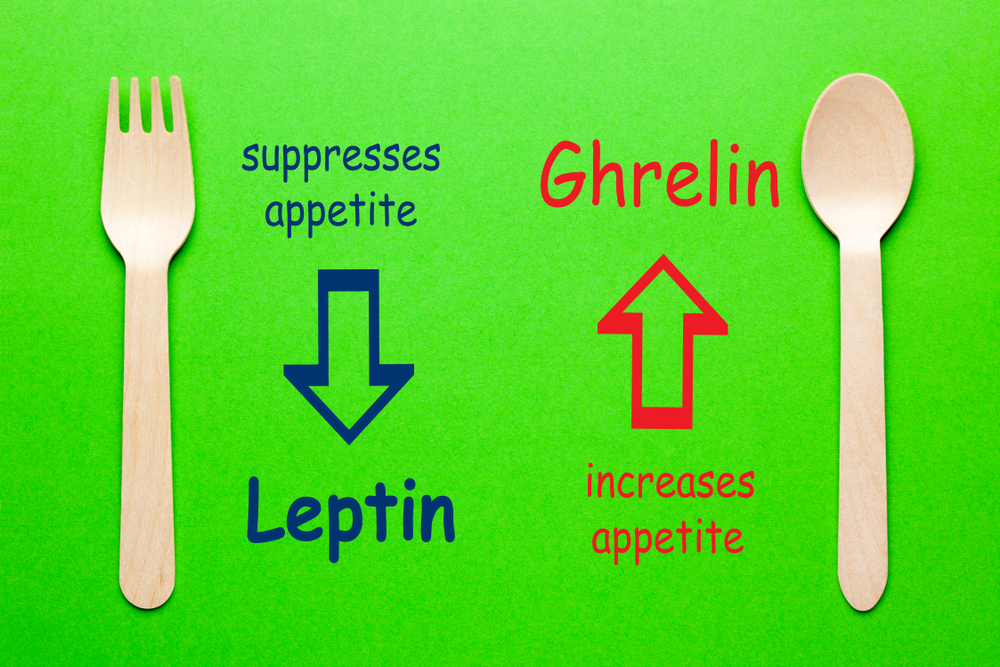 Image of Leptin and Ghrelin