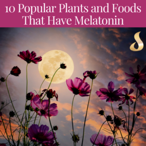 10 Popular Plants and Foods That Have Melatonin