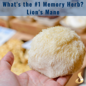 Breaking Down Aphasia and Apraxia: 8 Natural Tools to Help Rebuild Speech 8 lions mane mushroom