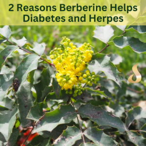 Link to article: 2 Reasons Berberine Helps Diabetes and Herpes