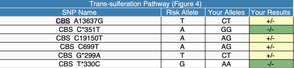 Genetics Lab Report for Subject B