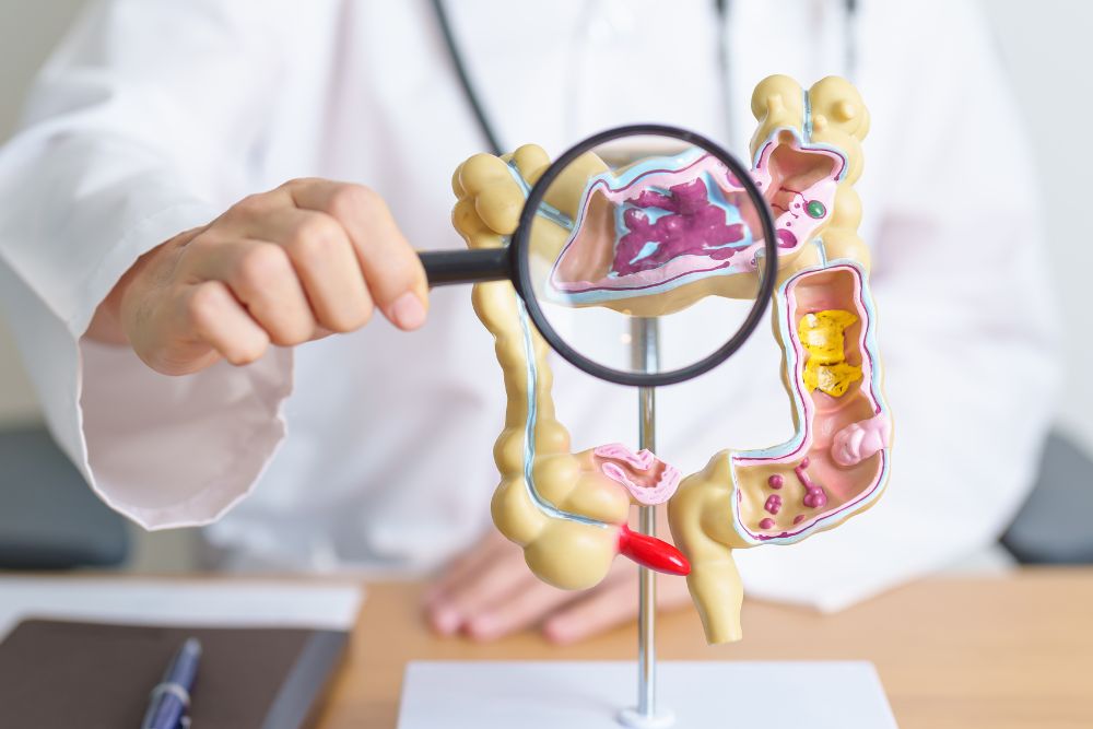 Read more about the article Bloating, Gas, and Gut Reactions: Choosing the Right Digestive Enzymes and Probiotics