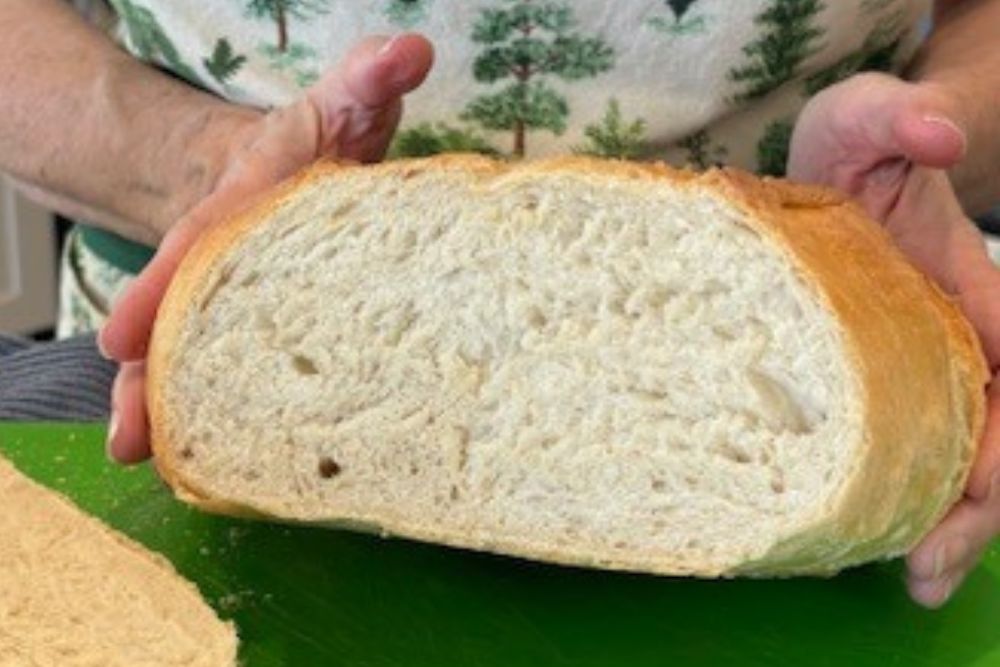 Read more about the article 4 Ingredient Homemade No Knead Crusty Bread