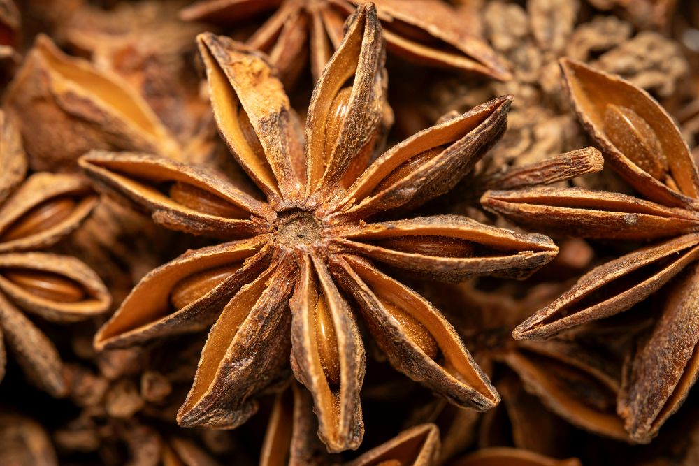 Read more about the article Star Anise: The Little Star That Warms Your Gut and Supports Immunity