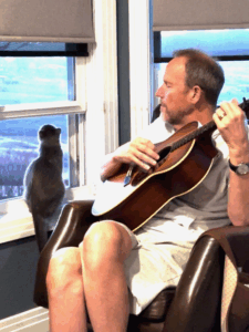 Sam and willow guitar