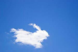 cloud with bunny formation