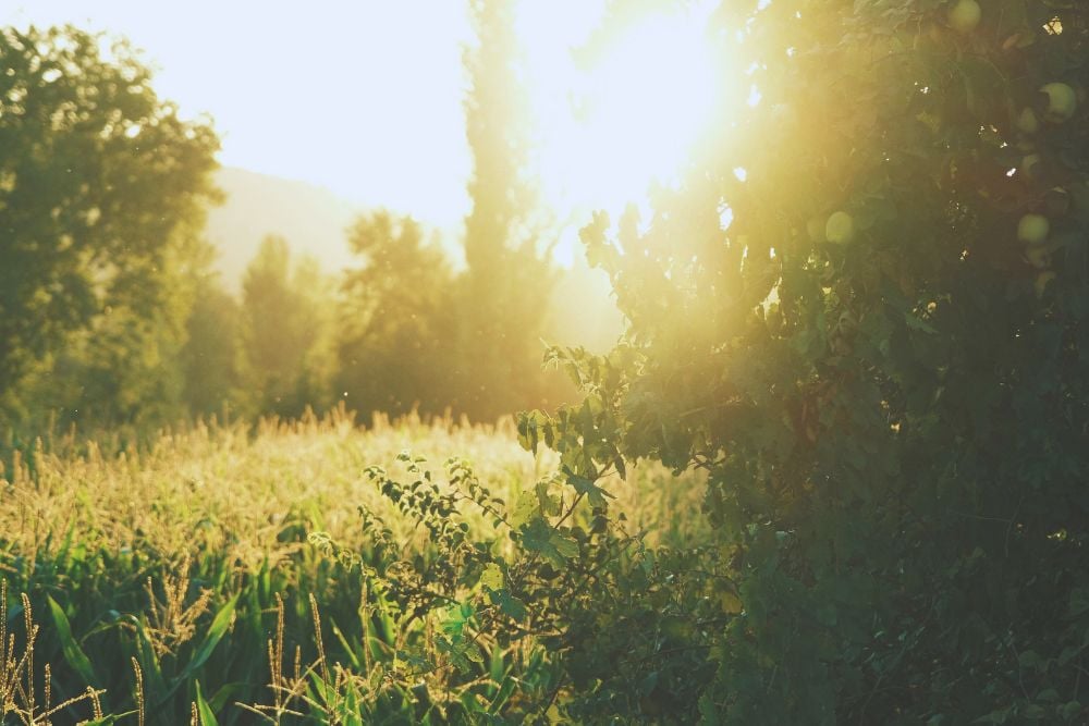 Read more about the article What Grief Does to the Body: A Pharmacist Explains Why Heartbreak Is Physical
